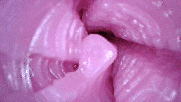 donadonakirakira003