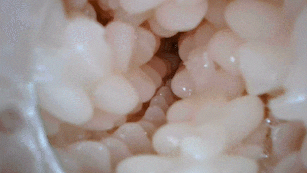 amanenoana2001