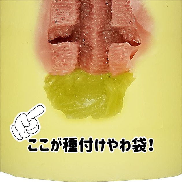 hop211-06