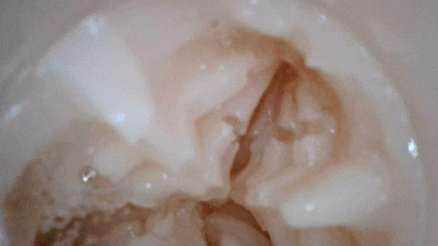 yabaisishayasan001