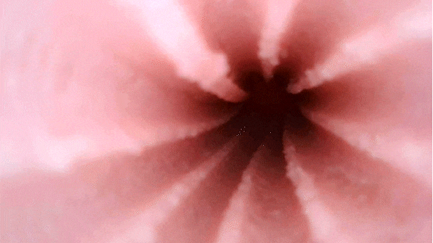 testgif002