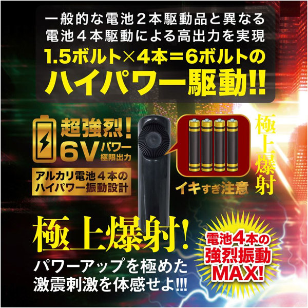 ro2963jp-006