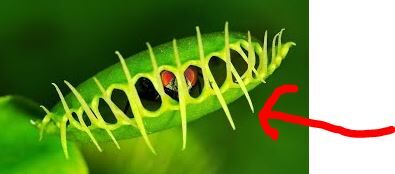 c42fb9e5