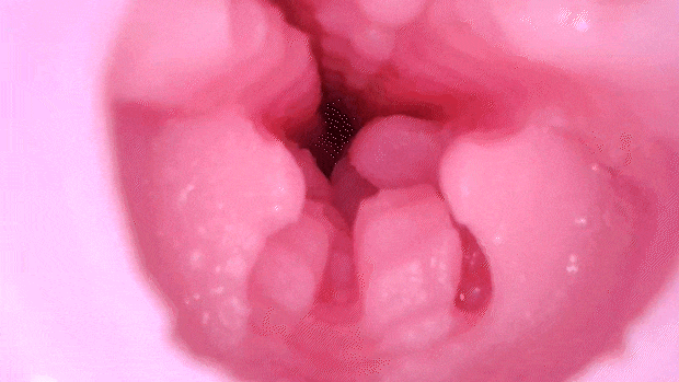 tripretrurn001