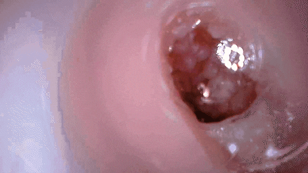 netorareinmoral003