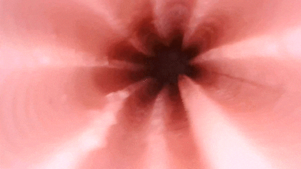 testgif006