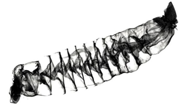 c54b25e6