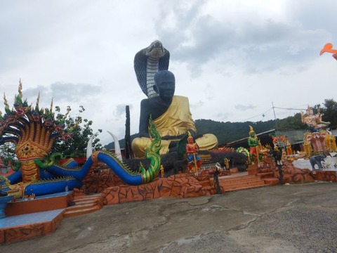 DSCN2614