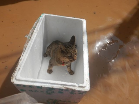 DSCN2875