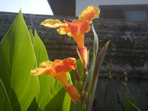 DSCN2921