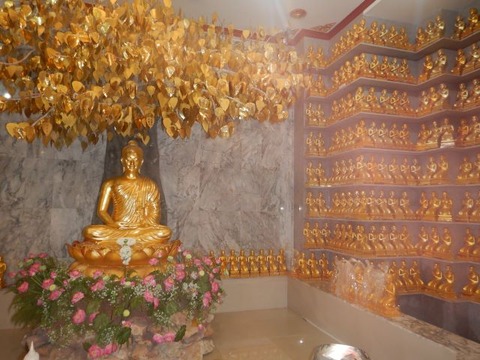 DSCN2604
