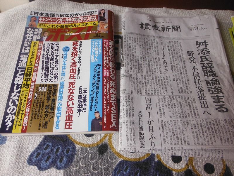 イメージ 9