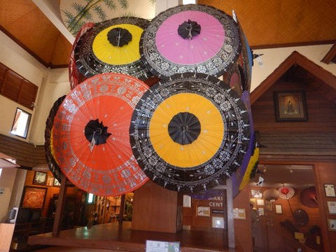 DSCN3239