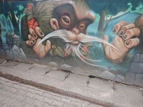 DSCN2818