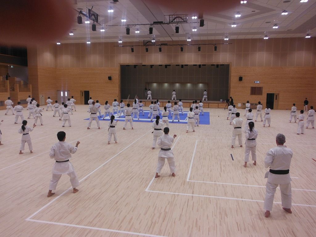 イメージ 7