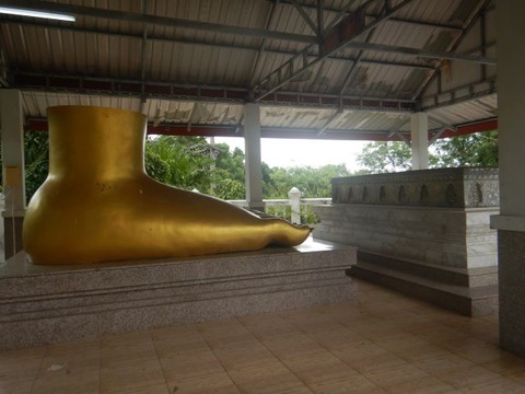 DSCN2597