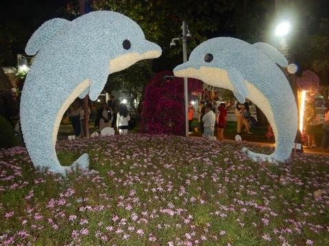 DSCN3340