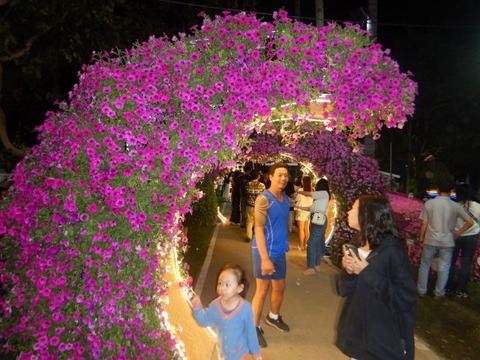 DSCN3342