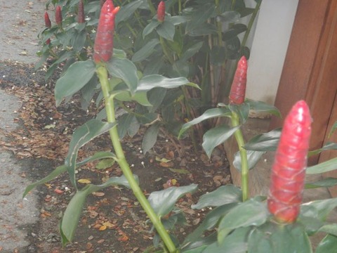 DSCN2831