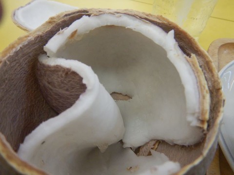 DSCN2740