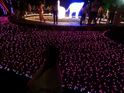 DSCN3333