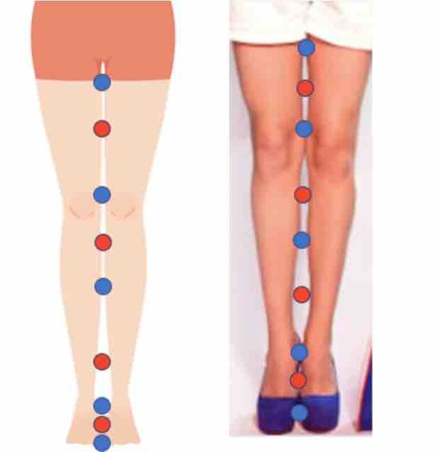 美脚と美尻の条件は 骨盤底でまるもうけ