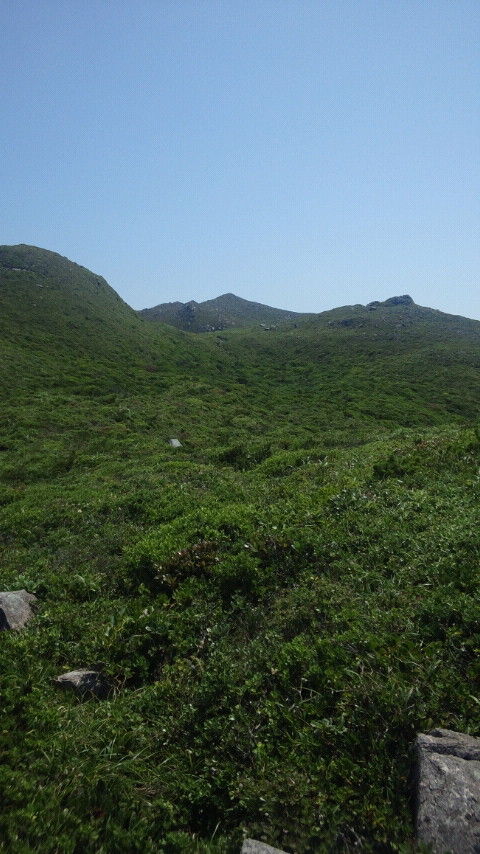CAI_0437