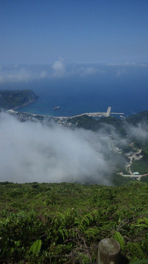 CAI_0419