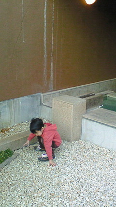 201003201649000