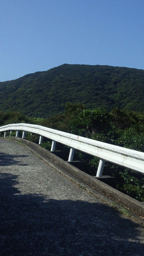 CAI_0394