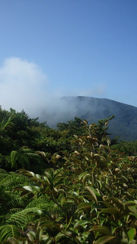 CAI_0399