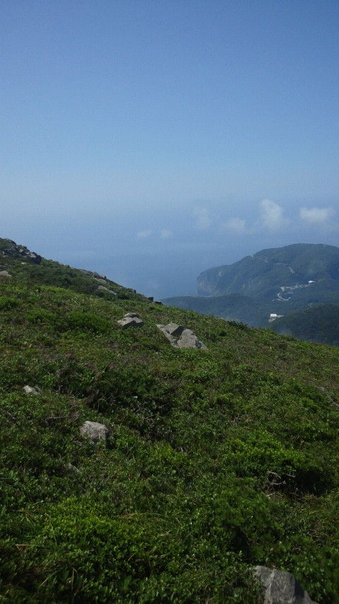 CAI_0438