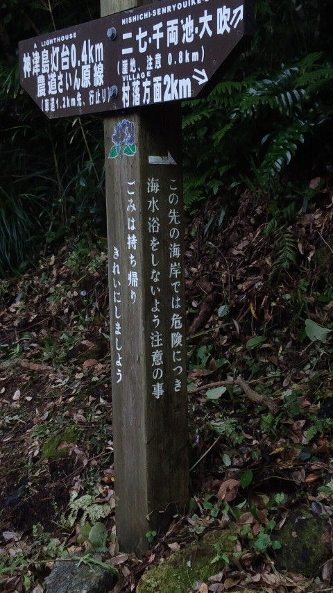 CAI_0299