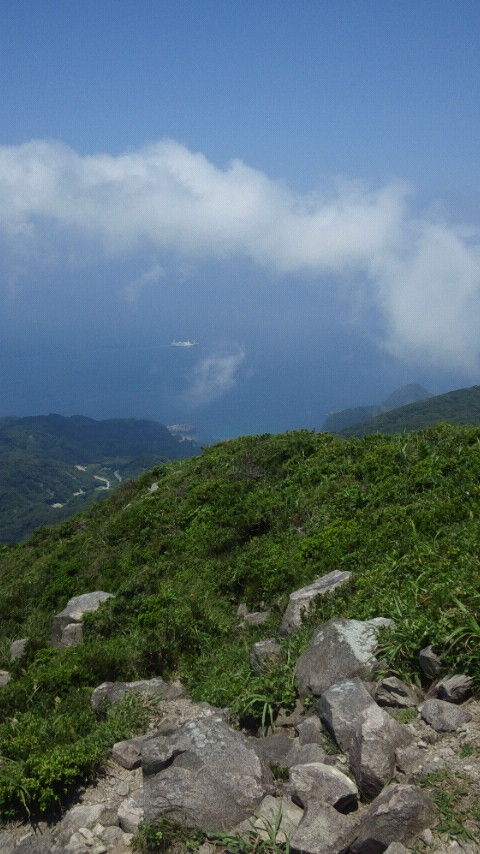 CAI_0442