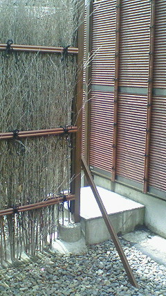 201003211112000
