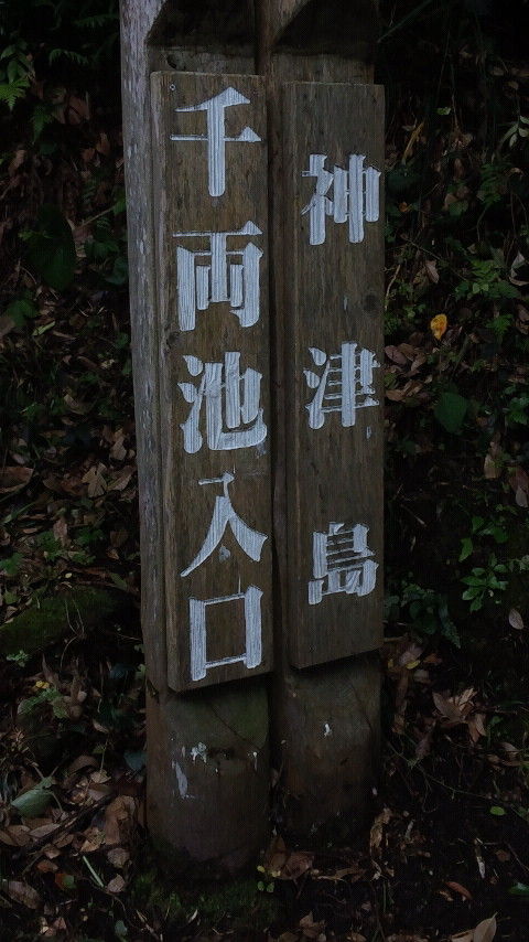 CAI_0300