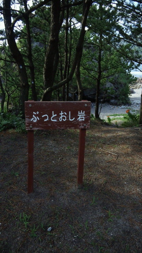 CAI_0360