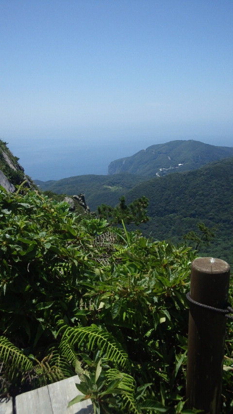 CAI_0447