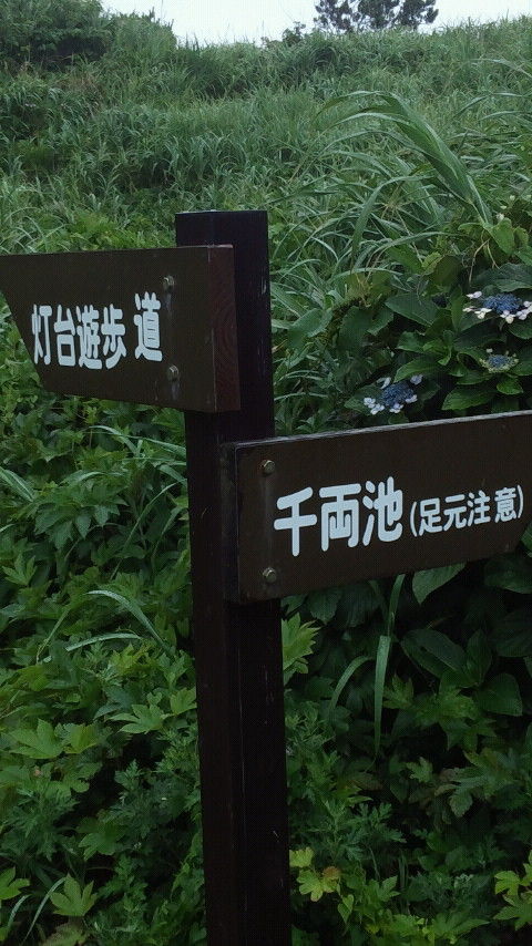 CAI_0304