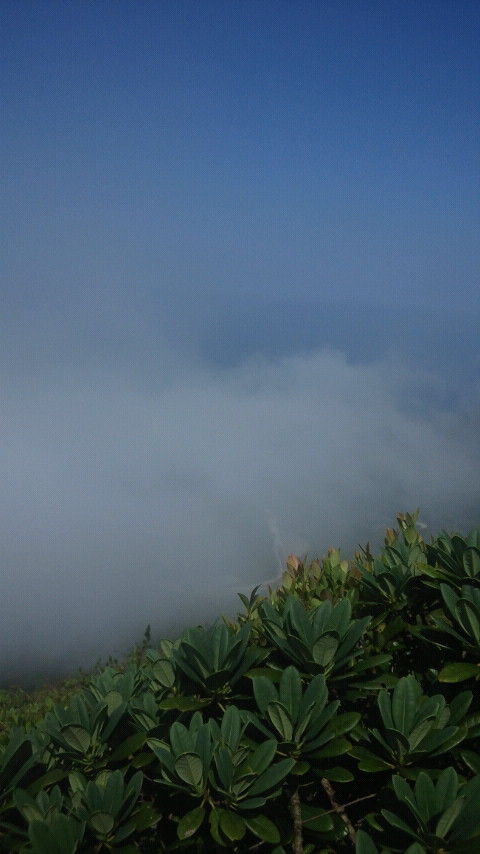 CAI_0408