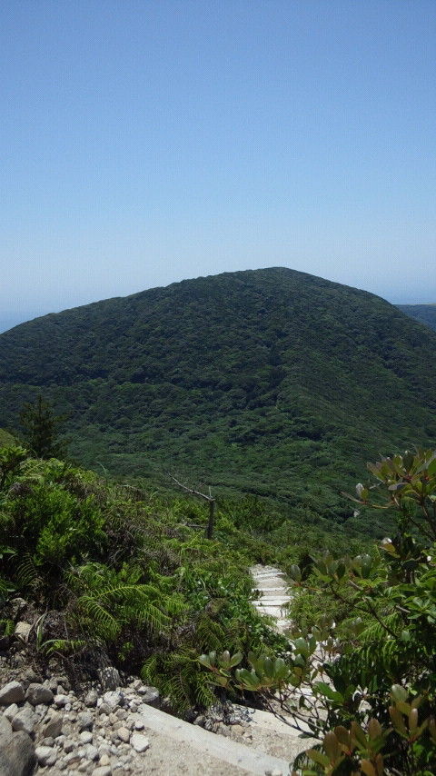 CAI_0449