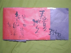 胴金智6