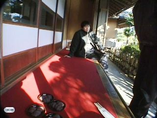 フェレットと猫と主夫のぐ たら生活 伊勢神宮で どうでしょう Livedoor Blog ブログ