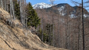 PXL_20260315_053028271