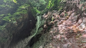PXL_20220827_001136442