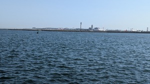 PXL_20260411_062549065