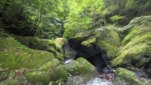PXL_20220819_233756180
