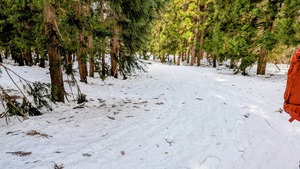 PXL_20260301_001752474~2