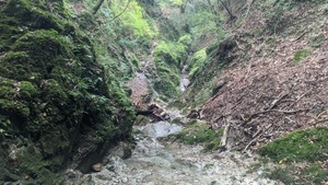 PXL_20220827_054615347