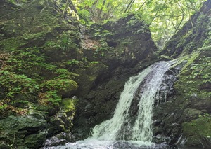 PXL_20220723_004828702